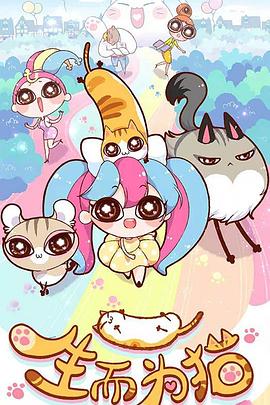 贵阳seo品牌优化